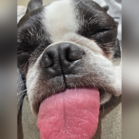 Hello Everyone 🥰💎❤️💖⚘️💍🥂 - Picture 8 of 17